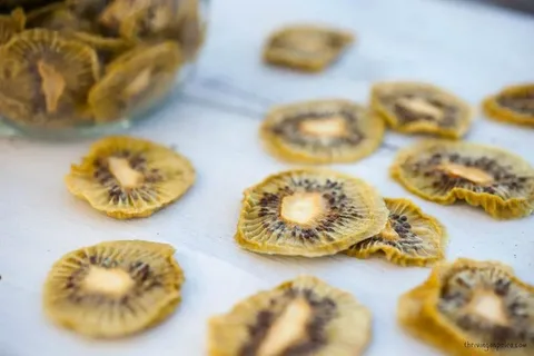 تصویر 1 از راهنمای خرید کیوی خشک + قیمت عالی